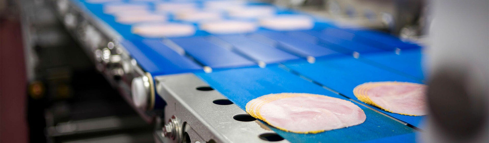 MULTIVAC Meat Slicing Conveyor System