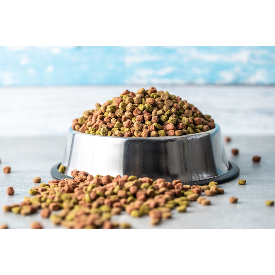 Google Ads Landing Pages - Application Carousel Images - Processing - Petfood