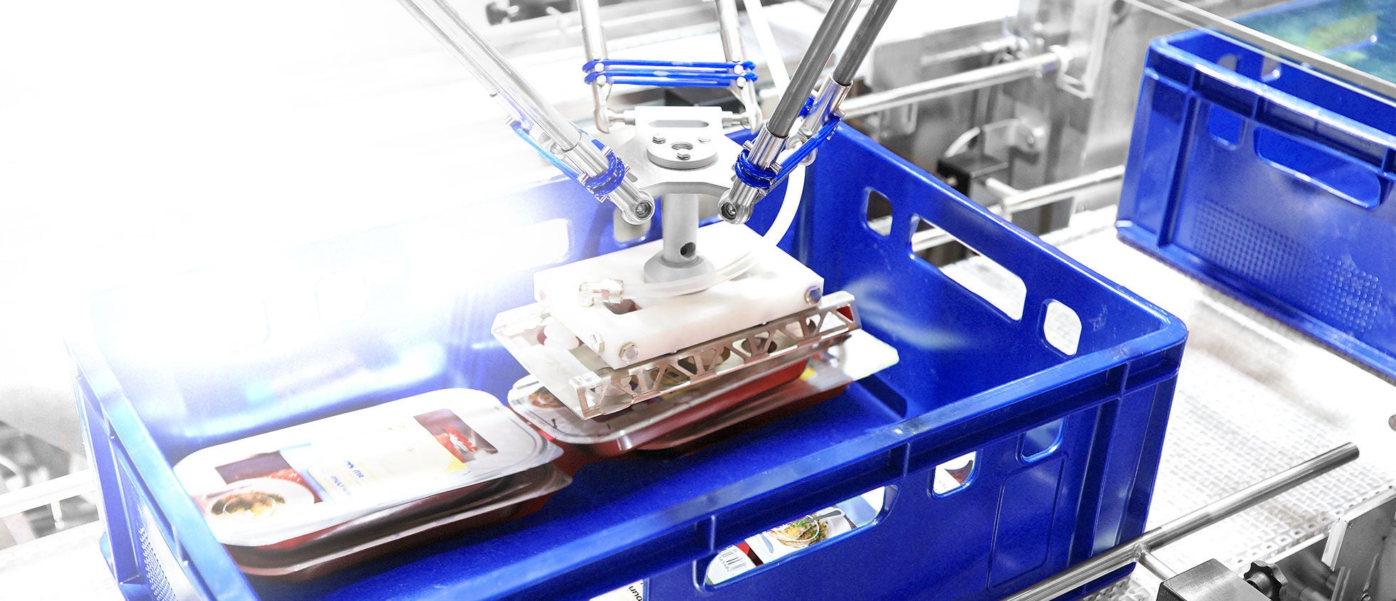 MULTIVAC Packaging Machine with Blue Crate