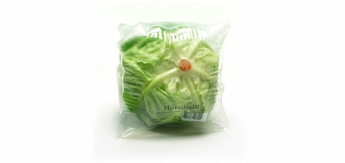 MULTIVAC Packaging Fresh Lettuce Vacuum Sealed