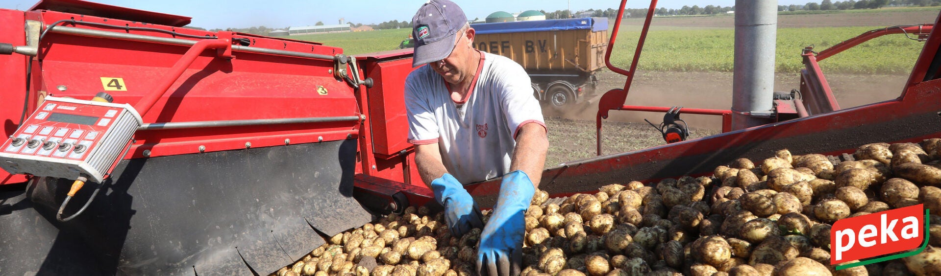 Potato Harvesting Machine by MULTIVAC