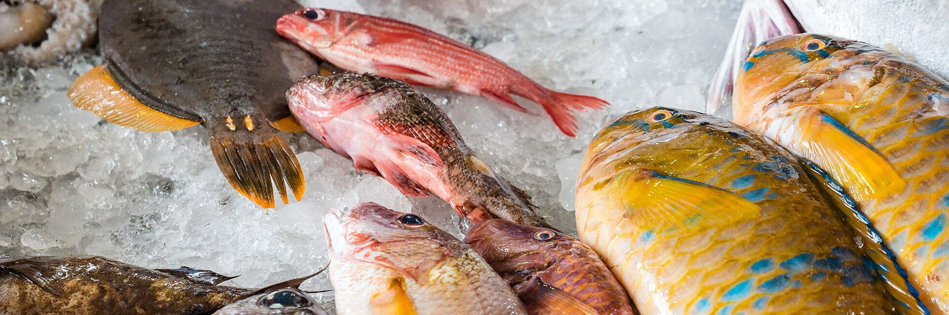 Fresh Seafood Display on Ice
