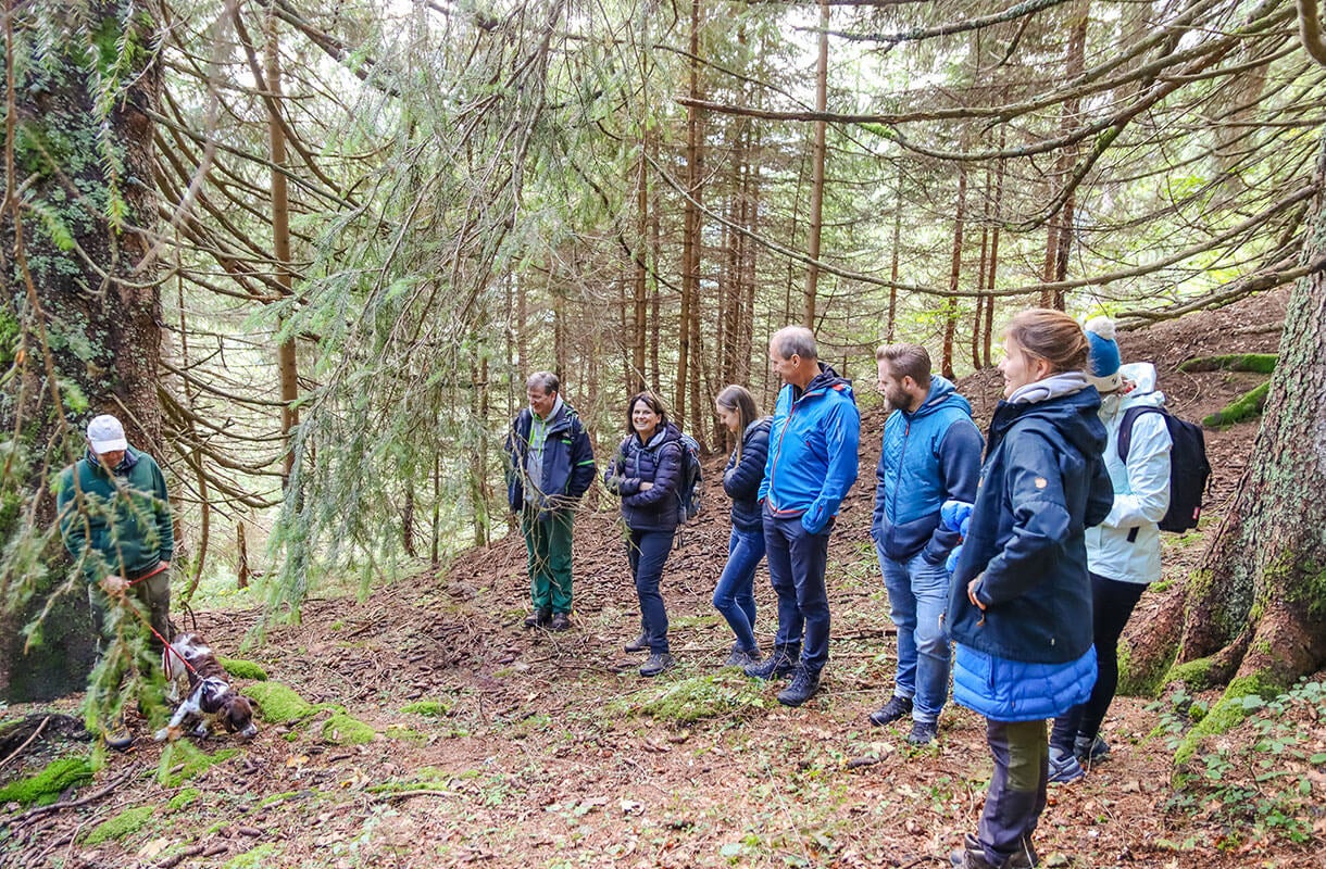 Forest Group Hiking Adventure
