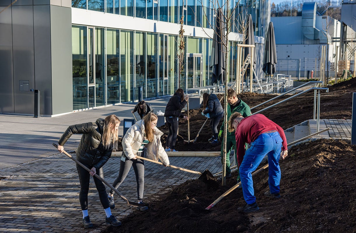 Community Tree Planting Event Outdoors